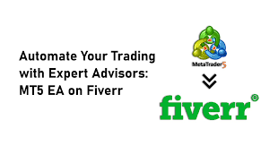 Fiverr Expert Portfolio